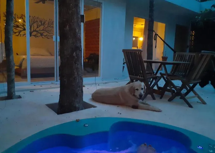 Ekumal Sanctuary Resort *